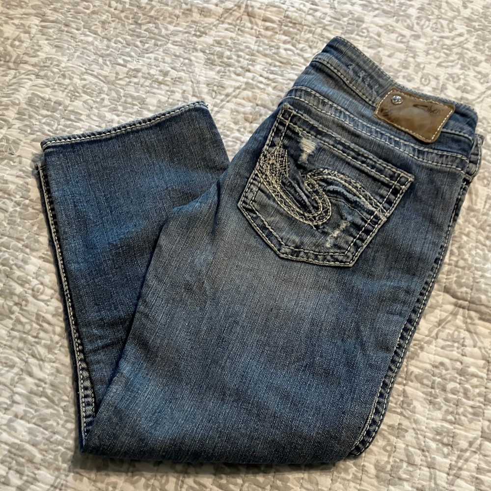 Silver Francis Crops